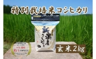 令和5年産｜新潟上越三和産｜特別栽培米コシヒカリ（従来種）2kg（2kg×1）玄米