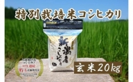 令和5年産｜新潟上越三和産｜特別栽培米コシヒカリ（従来種）20kg（2kg×10）玄米