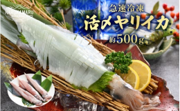 早朝から漁に出て、定置網で揚げたヤリイカを新鮮なうちに急速冷凍しました。1杯ずつ真空パックにしているので、食べたい分だけ食べることができます。※画像はイメージです。※杯数は前後する場合があります。