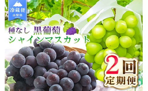 【2026年発送 先行予約】2回定期便 旬のフルーツ定期便（種無し黒葡萄2～3房・シャインマスカット2～3房） 180-008-26y