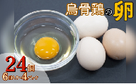 烏骨鶏の卵（有精卵）　24個