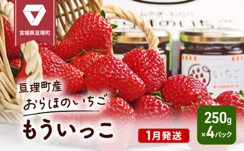 【1月発送】糖度の中に程よい酸味　亘理産おらほのいちご「もういっこ」 1126408 - 宮城県亘理町