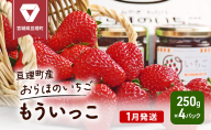 【1月発送】糖度の中に程よい酸味　亘理産おらほのいちご「もういっこ」