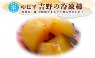 ゆば平　吉野の冷凍柿  | フルーツ くだもの 果物 柿 かき カキ 冷凍柿  奈良県 五條市