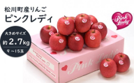 PL06-23A ピンクレディー®希少なりんご 約2.7kg（大きめサイズ）