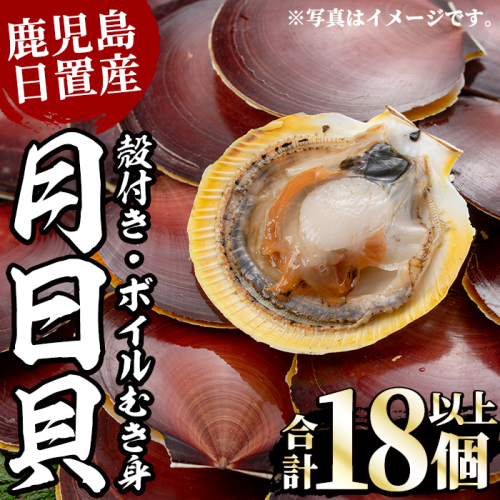 No.446 《期間・数量限定！》江口浜の月日貝セット！殻付き(6枚入×1P)・ボイルむき身(6～7個×2P) 鹿児島 貝 つきひがい ツキヒガイ 魚介 国産 フライ 天ぷら バター焼き【江口漁業協同組合】 1126751 - 鹿児島県日置市