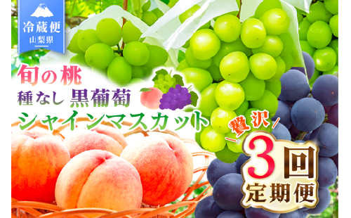 【2026年発送 先行予約】3回定期便 旬のフルーツ定期便（桃2kg・種無し黒葡萄2～3房・シャインマスカット2～3房） 180-010-26y
