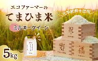 【5kg】 米 令和8年度産『てまひま米』ミルキークイーン 先行予約 精米 | 米 ミルキークイーン コメ お米 おこめ 特産米 ブランド米 令和8年 2026年てまひま 手間暇 手間隙 手間ひま 精米 白米 おいしい 美味しい ごはん SDGs 循環型 循環型農業 持続可能な農業 環境に優しい 環境問題 高品質 地元産 主食 和食 安心 ギフト 贈り物 埼玉県 久喜市