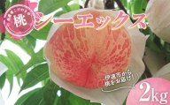 [先行予約] 福島の桃 生産者こだわりの桃 シーエックス2kg (5〜6玉) F20C-782