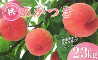 福島県産 あかつき 2.3kg 2024年7月中旬～2024年8月上旬発送 先行予約 予約 伊達の桃 桃 もも モモ 果物 くだもの フルーツ 名産品 国産 食品 F20C-783