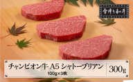 山形牛 第30回山形県家畜商牛枝肉共進会 チャンピオン受賞 雪降り和牛尾花沢 シャトーブリアンステーキ 100g×3枚 A5ランク 牛肉 黒毛和牛 国産 tc-cptxt300