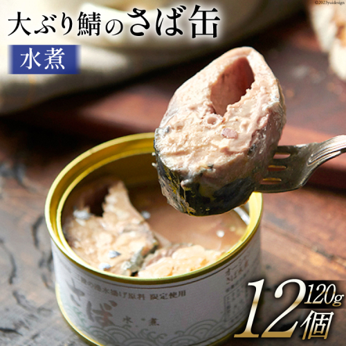 大ぶり鯖のさば缶 12缶 セット 水煮 [モンマルシェ 宮城県 気仙沼市 20565067] 缶詰 サバ缶 サバ 缶詰め かんづめ 鯖 さば さばの水煮 水煮 簡単調理 高級 保存食 常備 常温 1127777 - 宮城県気仙沼市