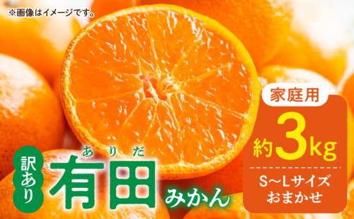 DZ6203_家庭用 有田みかん 和歌山県産 S～Lサイズ 大きさお任せ 約3kg 1127812 - 和歌山県湯浅町