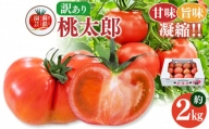 ご家庭用 トマト 桃太郎 約 2kg | やさい 野菜 とまと トマト 桃太郎 家庭用 熊本県 玉名市