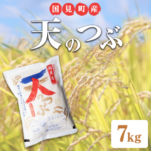 【令和6年産】米　国見町産 天のつぶ　 7kg＜小坂アグリ株式会社＞ ※沖縄・離島への配送不可 ※2024年10月中旬～2025年2月頃に順次発送予定 1128004 - 福島県国見町