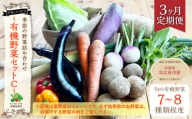 【3ヶ月定期便】有機JAS認定 季節の野菜詰め合わせ ～有機野菜セットC～