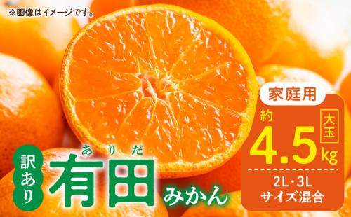 DZ6218_ご家庭用 有田みかん 和歌山 大玉(2L,3Lサイズ混合) 約4.5kg 1128323 - 和歌山県湯浅町