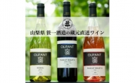 【蔵元直送】笹一酒造のOLIFANT(オリファン)ワイン＜赤・白・ロゼ＞3本セット