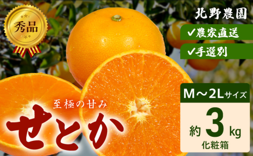 DZ6206_秀品　せとか 和歌山　有田 化粧箱 M～2Lサイズ 大きさお任せ 3kg 1128673 - 和歌山県湯浅町