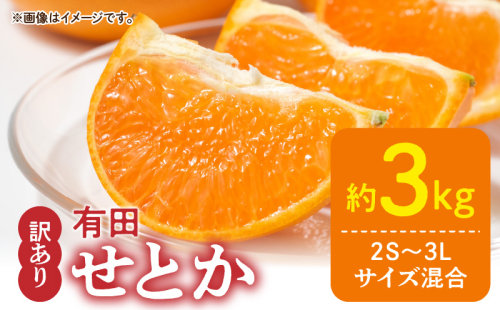 DZ6208_【2026年先行予約】訳あり せとか 和歌山 有田 2S～3Lサイズ混合 約3kg 1128675 - 和歌山県湯浅町