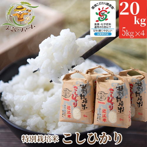 【C-547】【令和7年産　新米】よこいファーム 特別栽培米コシヒカリＢ　20kg（5kg×4） ［高島屋選定品］ 112876 - 滋賀県高島市