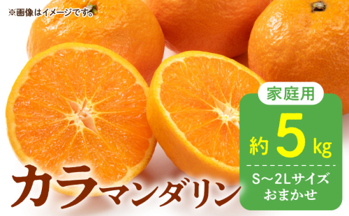 DZ6212_【2026年先行予約】秀品 カラマンダリン なつみ 和歌山 有田 秀品 S～2Lサイズ 大きさお任せ 約5kg 1128778 - 和歌山県湯浅町