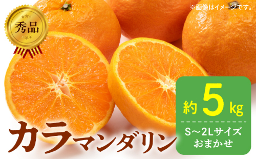 DZ6212_秀品 カラマンダリン なつみ 和歌山 有田 秀品 S～2Lサイズ 大きさお任せ 約5kg 1128778 - 和歌山県湯浅町