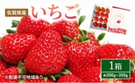 いちご 1箱 （約300g～350g） 佐賀県産 イチゴ 苺 果物 フルーツ デザート ※配送不可:北海道