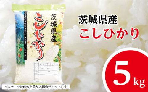 No.474 【坂東市産】【令和6年産米】茨城コシヒカリ5kg ／ こしひかり おこめ 旨味 茨城県 1129758 - 茨城県坂東市