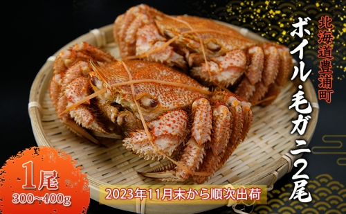 2023年11月から順次出荷】ボイル・毛ガニ2尾（1尾300～400g）北海道