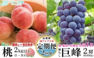 5-126 【山梨県産 定期便2回送り】南アルプスの果物セット