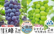 5-125 【山梨県産 定期便2回送り】南アルプスの果物セット