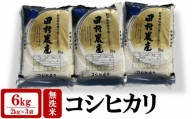 【令和5年産米】田村農産のコシヒカリ 無洗米 6kg（2kg×3袋）[B596]