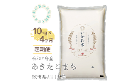 【令和７年産先行受付】【定期便】精米１０ｋｇ×４ヶ月　秋田県井川町産あきたこまち