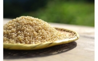 【玄米】R5年産 コシヒカリ5kg 一等米100% / 雪国棚田米 ~農薬・化学肥料不使用~