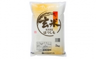 【A73】岐阜県　初霜（ハツシモ）　玄米　5kg（5kg×1袋）