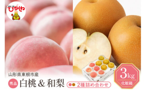 【2026年】東根市産 白桃（品種おまかせ）＆和梨 詰め合わせ 3kg 秀品 化粧箱入り 山形県 東根市 hi027-240