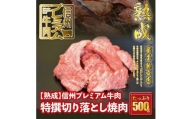 20-162【熟鮮】信州プレミアム牛肉　特撰切り落とし焼肉　500g