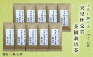 １８８３　➀ 新茶 ･令和６年6月下旬から発送　天皇杯受賞茶園栽培茶 100g×10袋・計１kg　 深蒸し掛川茶 　山英　深蒸し茶