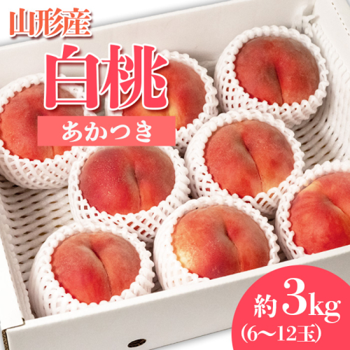 やまがたの桃(白桃) あかつき 秀品 約3kg(6～12玉程度) 【令和8年産先行予約】FS23-810 1131697 - 山形県山形市