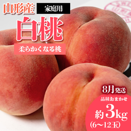 [ご家庭用]やまがたの桃 (白桃) 品種お任せ「柔らかくなる桃」8月 優品 約3kg(6～12玉程度) 【令和8年産先行予約】FS23-811 1131725 - 山形県山形市