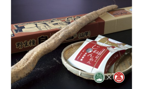 ＜自然薯屋おおえ＞おおえ爺さんの自然薯・じねんめん（大山ブランド会）米子高島屋 先行受付 12月～1月発送 25-BE1 0344 113173 - 鳥取県江府町