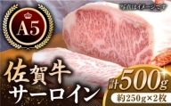 【最高級 A5ランク】佐賀牛 厚切り サーロイン ステーキ（約250g×2枚）【肉の三栄】 [HAA108]