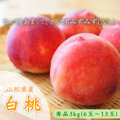 山形市産 白桃 秀品 約3kg(6玉～13玉)※品種おまかせ「硬い桃」【令和8年産先行予約】FS23-731 1131988 - 山形県山形市