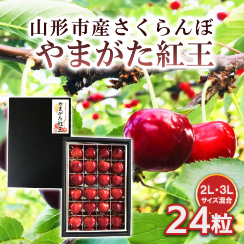 山形市産 さくらんぼ 【やまがた紅王】 2L/3Lサイズ混合 24粒 【令和8年産先行予約】FS25-538 1132052 - 山形県山形市