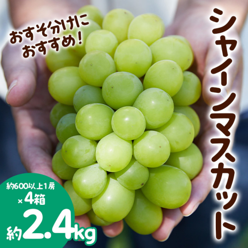 おすそ分けにおすすめ！シャインマスカット 秀品 約2.4kg(約600g1房×4箱) 【令和6年産先行予約】FS23-770 1132137 - 山形県山形市