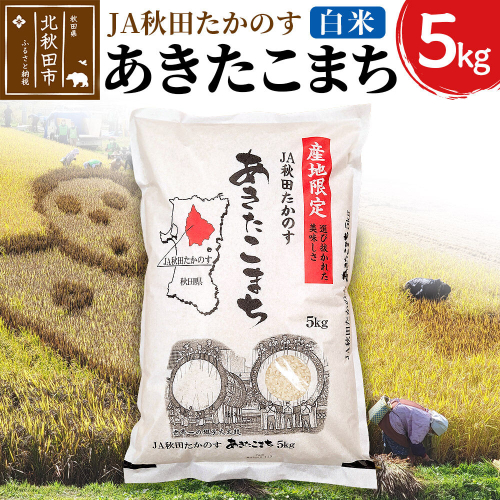 あきたこまち 白米5kg(5kg×1袋)  5キロ お米 令和7年産 秋田たかのす農業協同組合 1132364 - 秋田県北秋田市