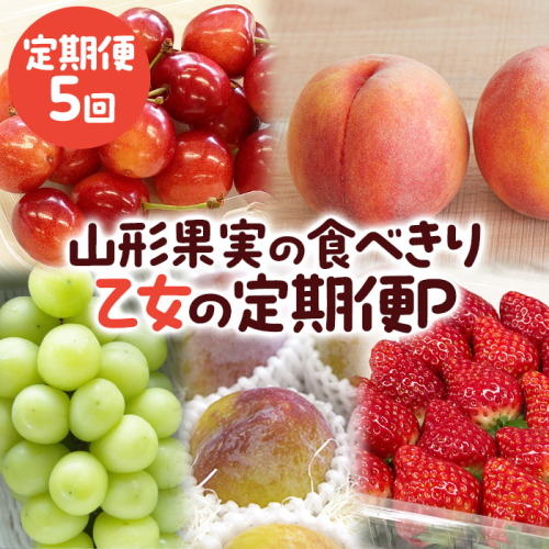 【定期便5回】山形果実の食べきり[乙女の定期便P] 【令和8年産先行予約】FS25-658 1132415 - 山形県山形市