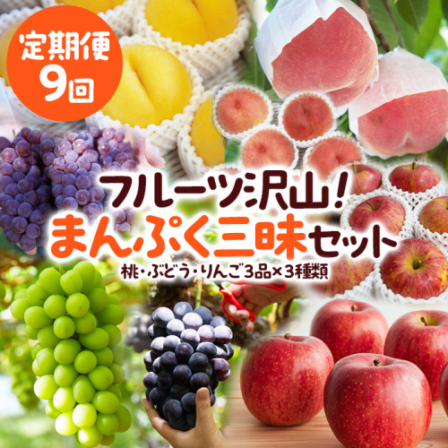 【定期便9回】フルーツ沢山！まんぷく三昧セット (桃・ぶどう・りんご 3品目×3種類) 【令和8年産先行予約】FU23-849 1132417 - 山形県山形市