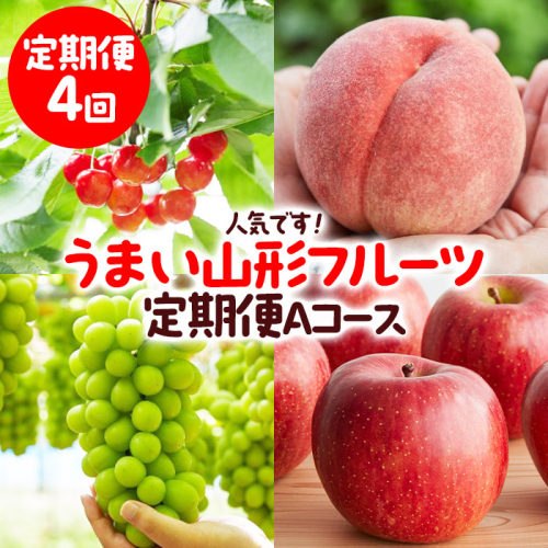 【定期便4回】人気です！うまい山形フルーツ定期便 Aコース 【令和8年産先行予約】FS23-851 1132424 - 山形県山形市